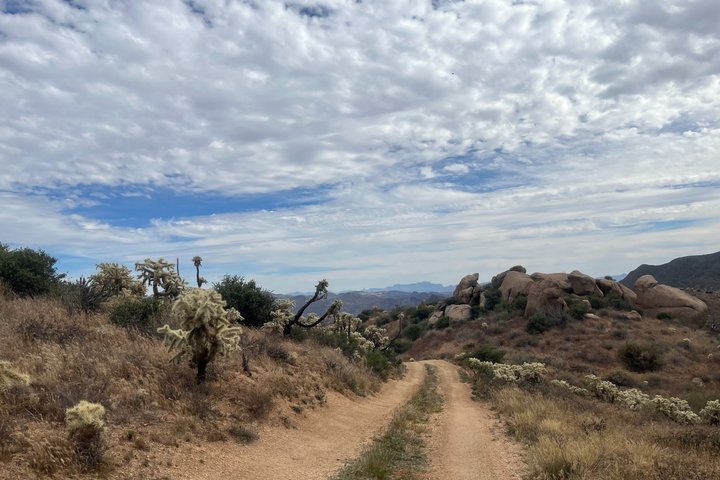 Scottsdale Sunset ATV/UTV Tour-Bigfoot Desert Adventure UTV Tours