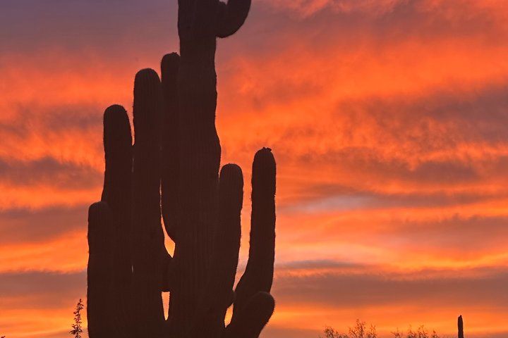 Scottsdale Sunset ATV/UTV Tour-Bigfoot Desert Adventure UTV Tours