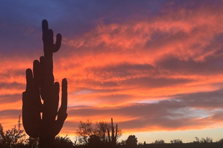 Scottsdale Sunset ATV/UTV Tour-Bigfoot Desert Adventure UTV Tours