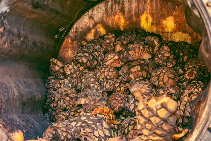 Luxury Tequila Experience: VIP Tastings & Boutique Distilleries