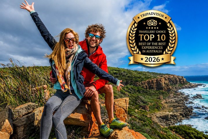 Margaret River ultimate experience for people who don't do tours!
