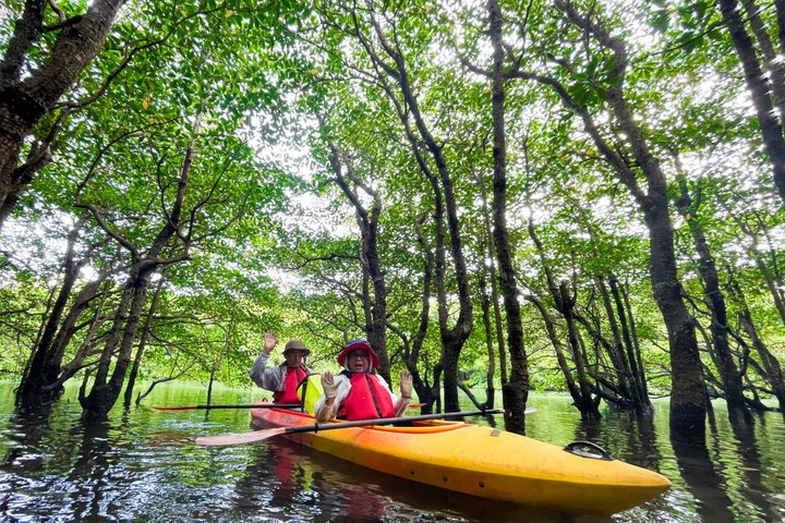 Pinaisara Waterfall Half Day Tour Mangrove Kayaking and trekking