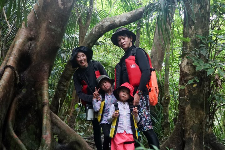 Pinaisara Waterfall Half Day Tour Mangrove Kayaking and trekking