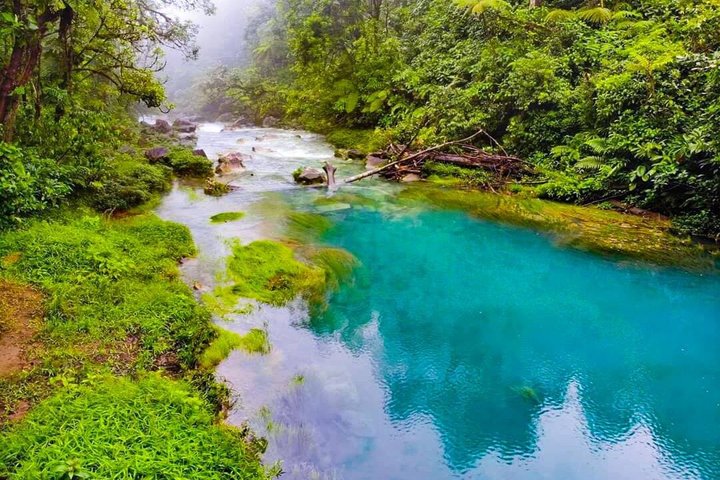 Private 4 in 1 Rainforest, Blue River, Mud Bath, Hot Springs