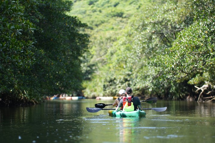 Pinaisara Waterfall Half Day Tour Mangrove Kayaking and trekking