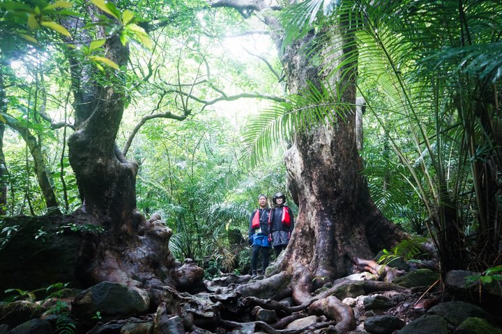 Pinaisara Waterfall Half Day Tour Mangrove Kayaking and trekking