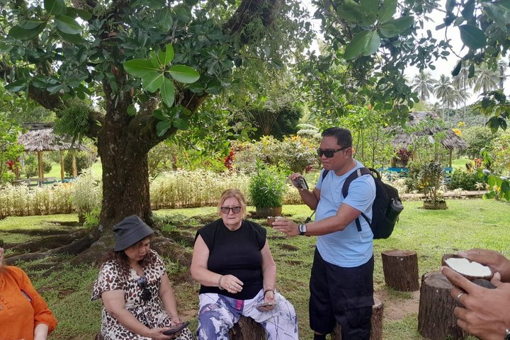Southeast Side of Upolu Full-Day Island Tour of Samoa