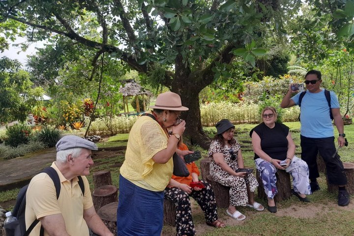 Southeast Side of Upolu Full-Day Island Tour of Samoa