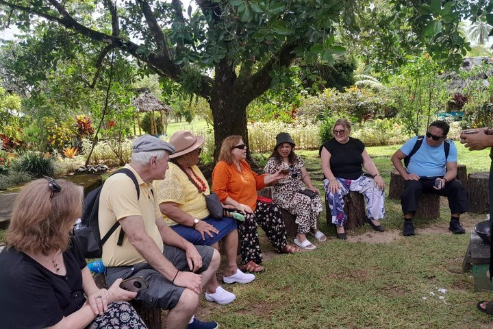 Southeast Side of Upolu Full-Day Island Tour of Samoa