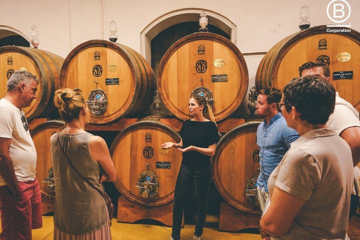 Amarone Wine Tasting Tour from Verona with Private Transportation