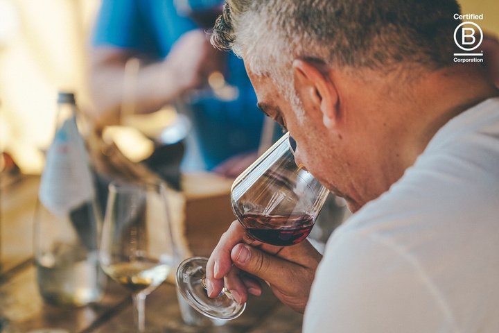 Amarone Wine Tasting Tour from Verona with Private Transportation