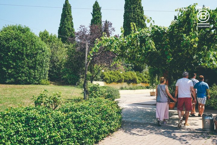 Amarone Wine Tasting Tour from Verona with Private Transportation