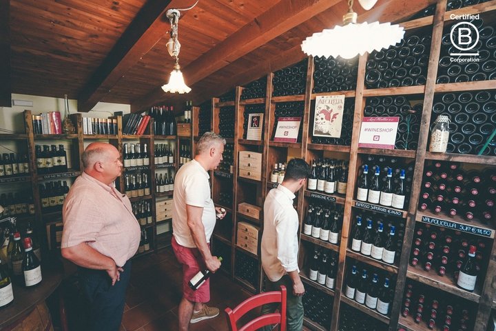 Amarone Wine Tasting Tour from Verona with Private Transportation