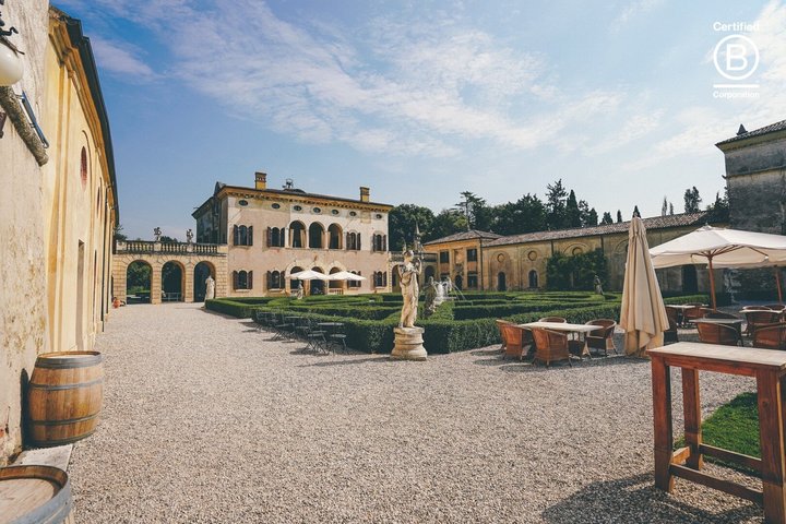 Amarone Wine Tasting Tour from Verona with Private Transportation