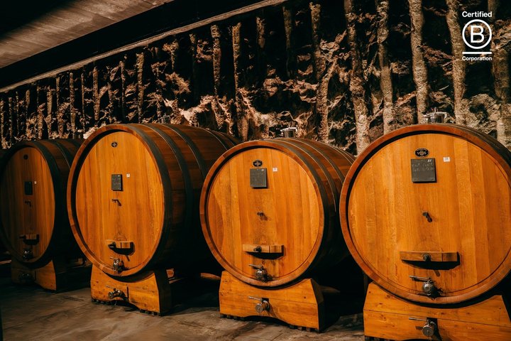 Amarone Wine Tasting Tour from Verona with Private Transportation
