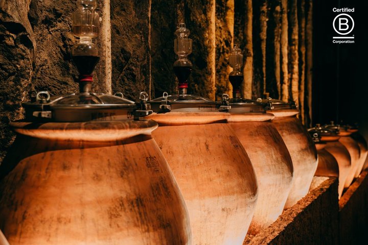 Amarone Wine Tasting Tour from Verona with Private Transportation