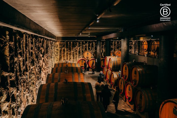 Amarone Wine Tasting Tour from Verona with Private Transportation