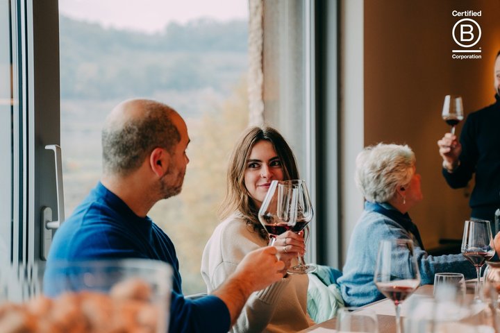 Amarone Wine Tasting Tour from Verona with Private Transportation
