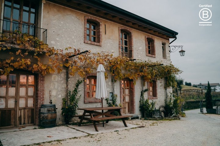 Amarone Wine Tasting Tour from Verona with Private Transportation
