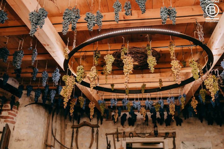 Amarone Wine Tasting Tour from Verona with Private Transportation