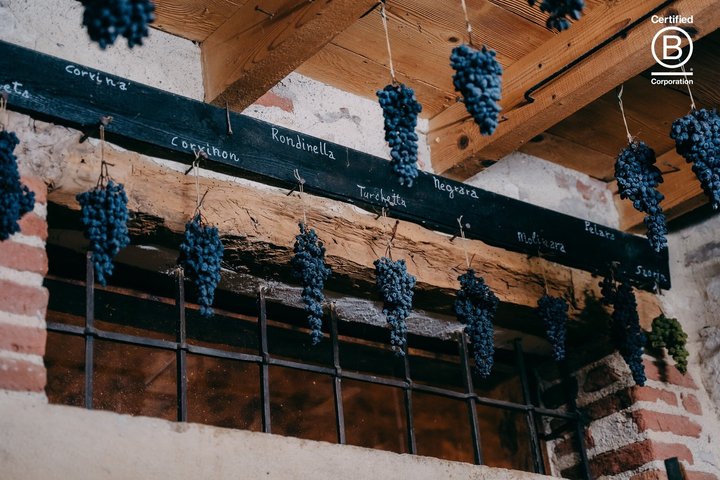 Amarone Wine Tasting Tour from Verona with Private Transportation