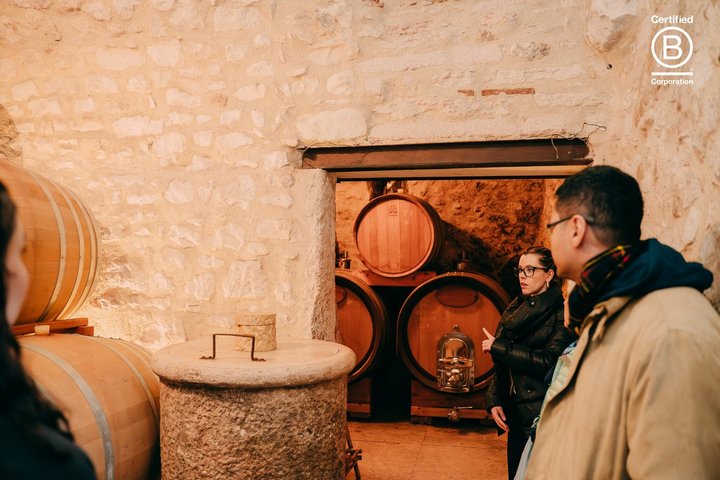 Amarone Wine Tasting Tour from Verona with Private Transportation