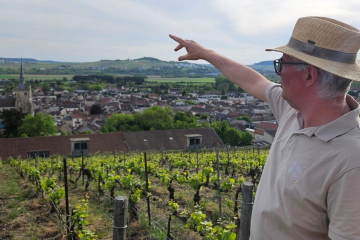 Gourmet walk to Aÿ Champagne Vineyard and Tasting