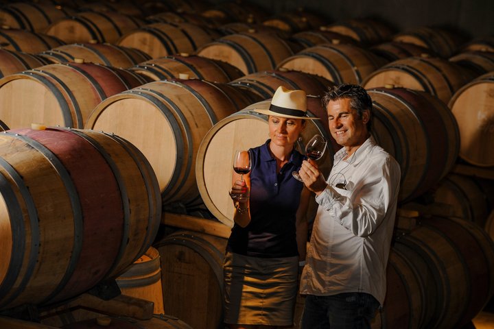 Côte de Nuits Half Day Wine Tour from Dijon