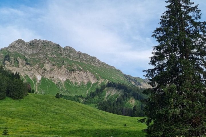 Naturalistic adventure in the Swiss Alps