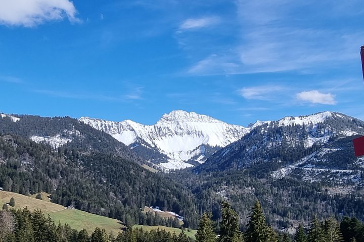 Naturalistic adventure in the Swiss Alps