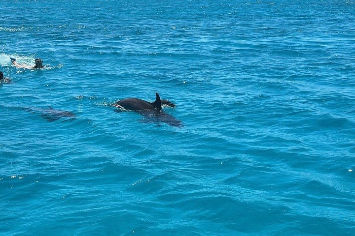 Sharm El Naga Full Day Snorkeling with Turtles & Lunch – Hurghada