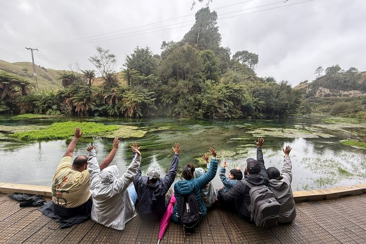 Auckland to Waitomo Glowworms, Kiwi House & Blue Springs Day Tour