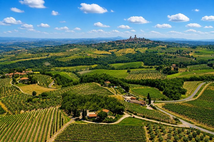Siena: Chianti Guided E-Bike Tour with Lunch & 2 wine tastings