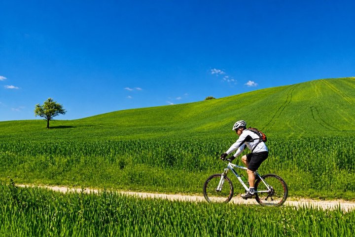 Siena: Chianti Guided E-Bike Tour with Lunch & 2 wine tastings
