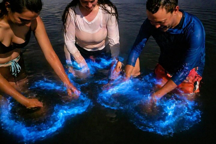 Magic After Dark Bioluminescence Kayak Tour Orlando
