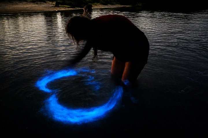 Magic After Dark Bioluminescence Kayak Tour Orlando