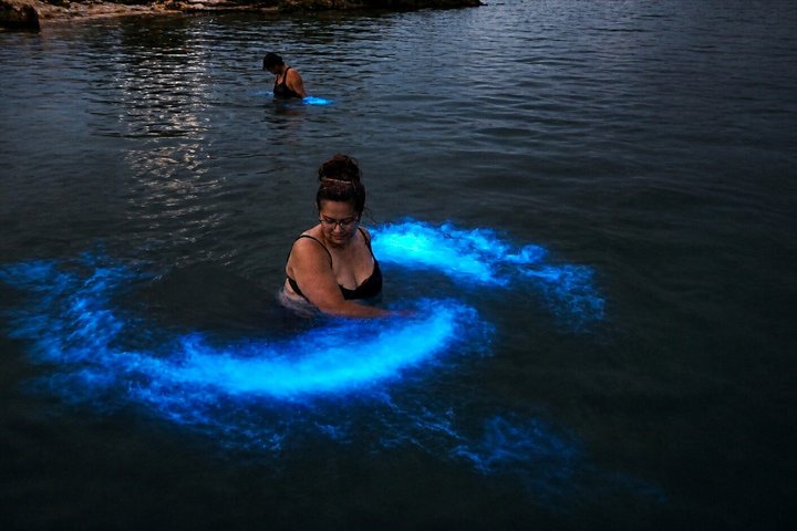 Magic After Dark Bioluminescence Kayak Tour Orlando
