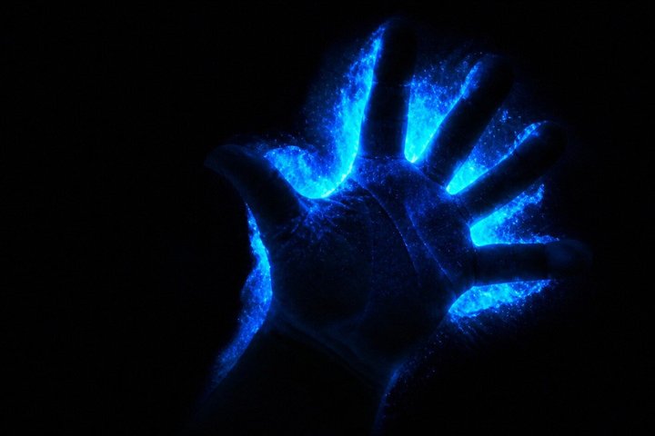 Magic After Dark Bioluminescence Kayak Tour Orlando