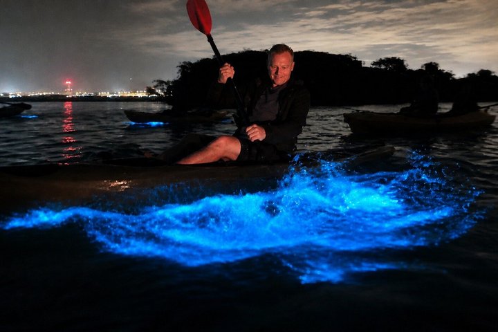 Magic After Dark Bioluminescence Kayak Tour Orlando