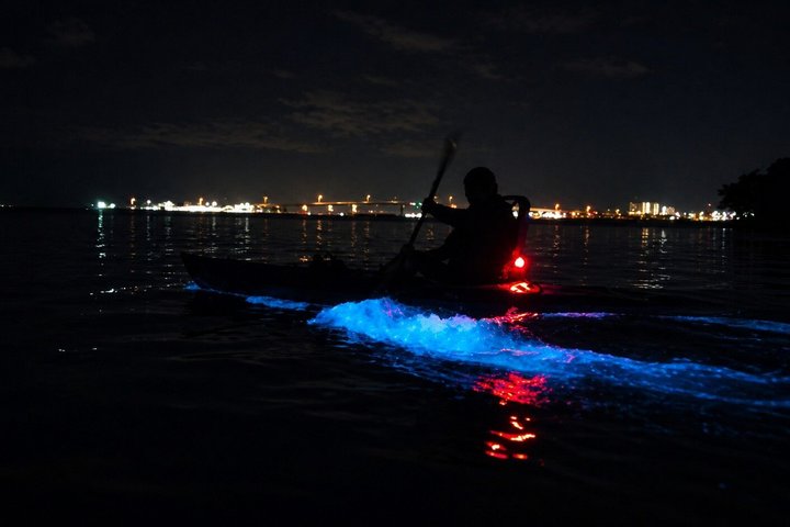 Magic After Dark Bioluminescence Kayak Tour Orlando