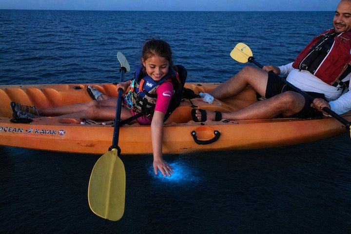 Magic After Dark Bioluminescence Kayak Tour Orlando