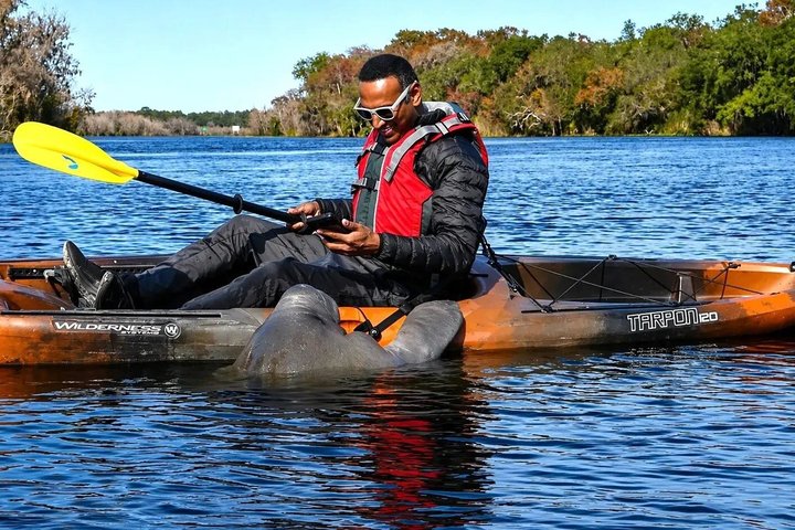 Small Group Manatee Discovery Kayak Tour near Orlando