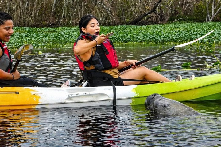Small Group Manatee Discovery Kayak Tour near Orlando