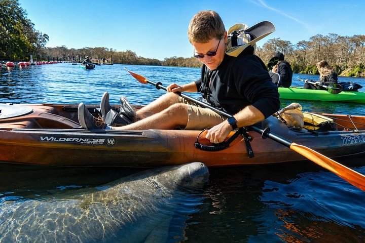 Small Group Manatee Discovery Kayak Tour near Orlando