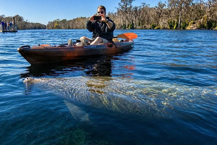 Small Group Manatee Discovery Kayak Tour near Orlando