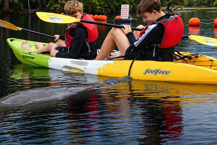 Small Group Manatee Discovery Kayak Tour near Orlando