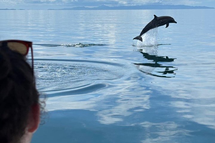 Whale Watching with Snorkeling and Fishing in Puerto Jiménez
