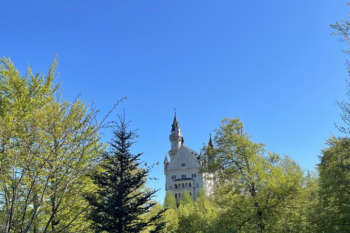 Neuschwanstein Castle Skip-the-Line Guided Tour & Shuttle Service
