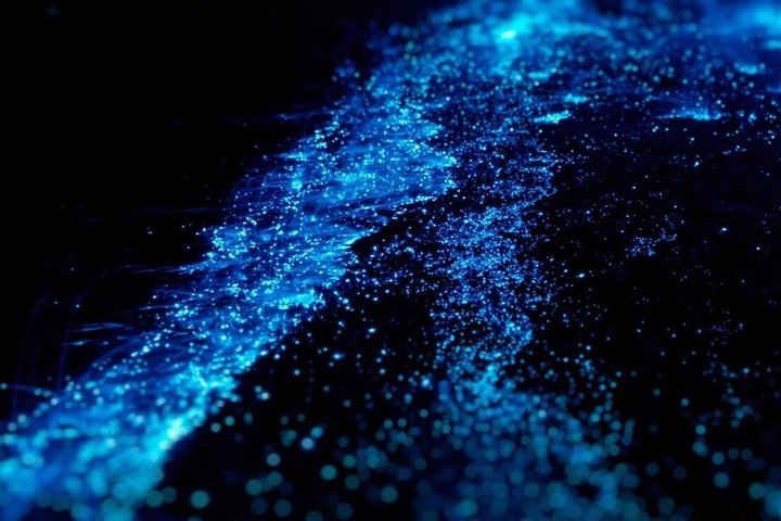 Bioluminescence Kayak Tour in the San Juan Islands