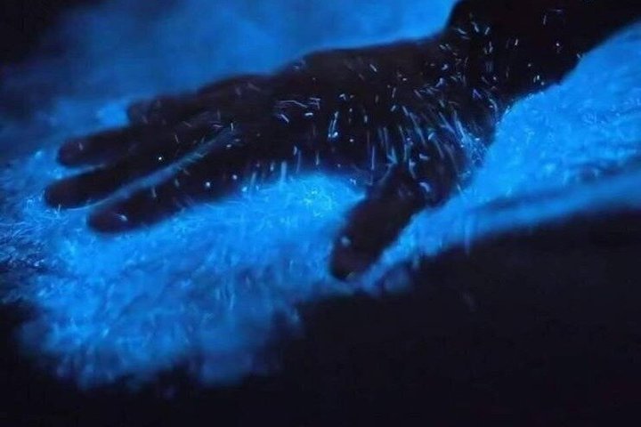 Bioluminescence Kayak Tour in the San Juan Islands